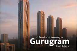 Real Estate Investment